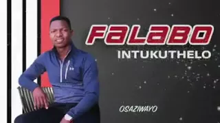 falabo khuzwayo 2017 cd promo