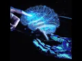 Demystifying Deep Learning A Short Beginner s Guide