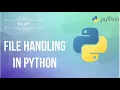 Python Zero to Hero Day FILE HANDLING in Python