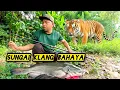 Download Lagu Memancing Di Sungai Klang Kebun Kacang Tanah #gengdunia