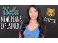 UCLA Meal Plans Explained Choosing Your Dining Plan