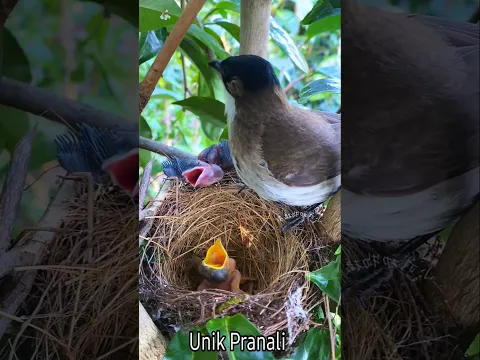 😭सौतेली माँ ने खाना नहीं दिया🤯बिचारा बच्चा ~mini wood toy-wood working art skill #shortvideo #shorts