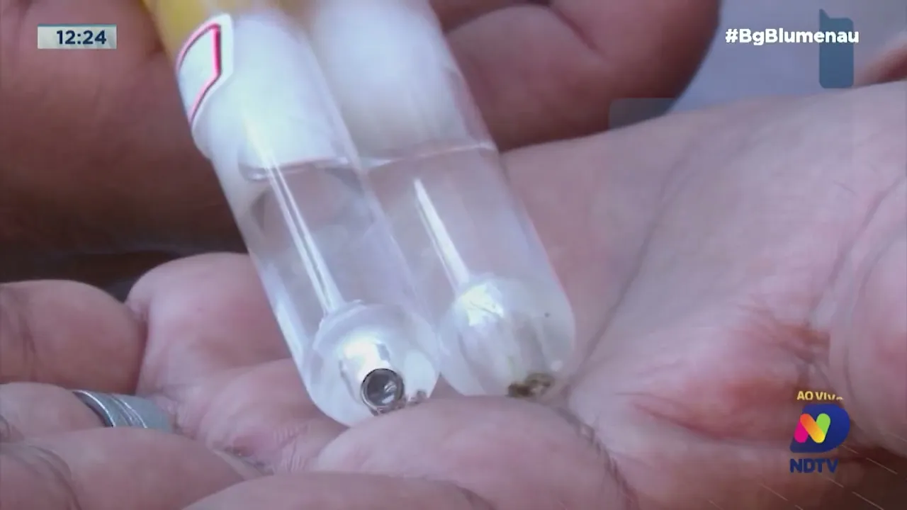 Dengue: Blumenau registra 34 novos focos do mosquito e 131 casos da doença confirmados