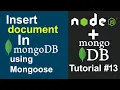MongoDB Tutorial - Create and Insert the Document in MongoDB using Mongoose in Hindi