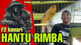 Download CENGKOK MEWAH KENARI F2 SI HANTU RIMBA MILIK MR.YANA SEGEX JOKI TEDI TRAVEL TEAM BL BF MP3