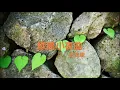 史逸欣 - 綠島小夜曲/Vienna Teng - Green Island Serenade