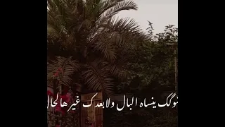 حبيتك حب لهفة بلهفة بصوت صبية اسمها لحن حسابها على الانستا باسم Lahen Official 