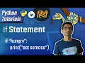 Python Hindi Tutorial 8 - if condition