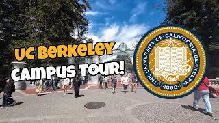UC Berkeley Campus Tour Best Public University in the World