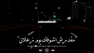 مهرجان كل يوم سهران الليل عمال افكر فيك يا جميل    دندنها