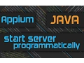 How to Start Appium Server Programmatically through Java Code with Custom Arguments