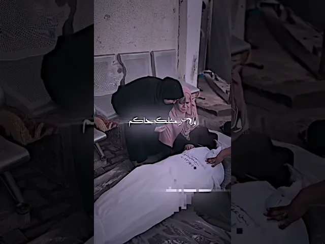 ⁣باسم الكربلائي ( وين تروح يا ظالم ) ((  قضية الشرفاء نصرة فلسـ..ـطين 🇵🇸 ) ) #بدون_حقوق