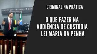 O que fazer na Audiência de Custódia - Lei Maria da Penha