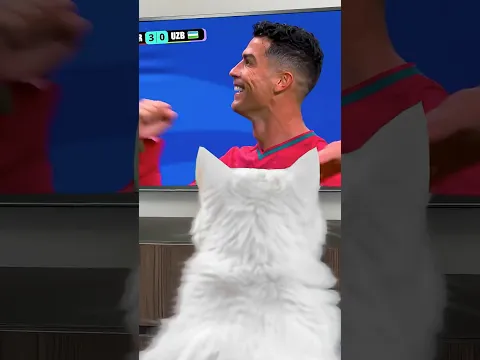 СОФА РАЗБИЛА КАМЕРУ 😳