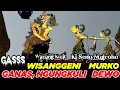 Download Lagu wisanggeni murko kayangan ajur ki seno nugroho #toiruncs