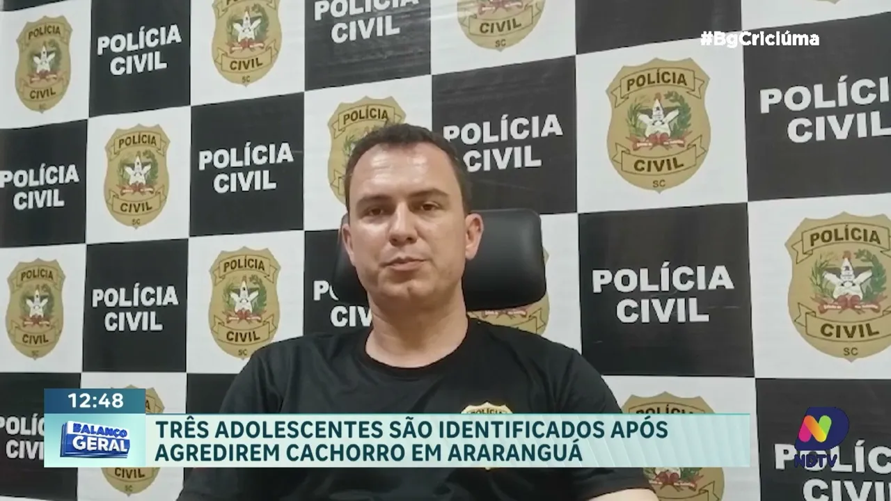 Adolescentes de Araranguá envolvidos em maus-tratos a cachorro são Identificados