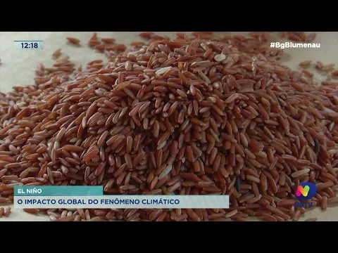 El Niño: o impacto global do fenômeno climático