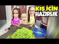 Lagu KIŞ İÇİN HAZIRLIK YAPTIK !! BAHAR VE BANU ALYA FASULYE KIRDI !! ASEL MİRA HER YERİ DAĞITTI !!