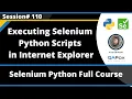 Executing Selenium Python scripts in Internet Explorer Browser Session - 110