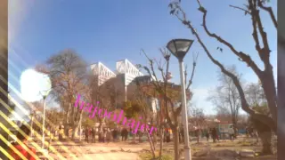 اغنية سطايفية ديرولو الحنة عريس 2016 