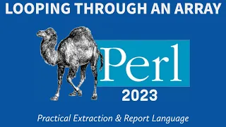 Perl Programming - Array Loop 2023