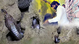 ऐसे वीडियो को पूरा जरूर देखिए, घर में एसे स्थान पर कोबरा छिपा था जिसे देखकर होश उड़ गए!😱Snake Rescue
