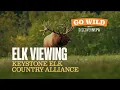 GO WILD with DiscoverNEPA Elk Viewing with Keystone Elk Country Alliance Benezette PA