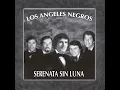 Amar y Vivir - Los Angeles Negros