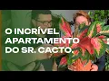 Download Lagu An apartment with many plants: the incredible jungle of Arthur and Cleber.