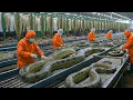 Inside the Exotic Snake Leather Factory –How Million-Dollar Jackets Are Made ( Full Process )