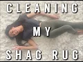 HOW I CLEANED MY WHITE 3 INCH SHAG RUG