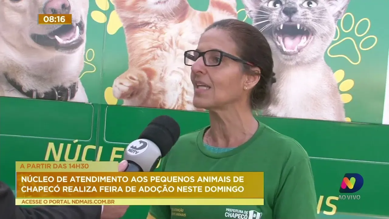 Feira de adoção de animais acontece neste domingo em Chapecó