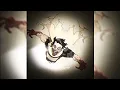 Download Lagu MONTAGEM RETINAL PLATINA [Super Slowed + Reverb]