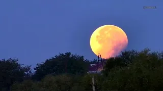 القارئ أحمد عبد الرازق نصر آيات من سورة القصص 