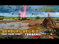 Download Lagu BERBURU BELIBIS SAAT HUJAN LEBAT ‼️  Seharian sembunyi masak \u0026 tidur di dalam gumpalan semak..