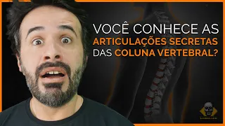 VOCÊ CONHECE AS ARTICULAÇÕES SECRETAS DA COLUNA VERTEBRAL?