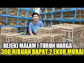 Download Lagu REJEKI MALAM INI ! TURUN HARGA MURAI BLOROK !!! PROMO 2 EKOR MURAI CUMA 300 RIBUAN DIKIOS PRAMUKA
