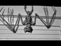 Skeletons Bat Skeleton black and white
