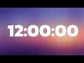 12 Hour Timer - No Sounds No Alarm No Ads