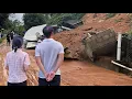 Download Lagu What Happens When You Weather a Stormy Day with Your Loved One
