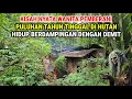 Lagu Ngeri !! Kisah Nyata Wanita Pemberani Puluhan Tahun Tinggal Dihutan Berdampingan Dengan Demit