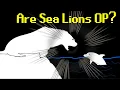 Seal Vs Sea Lion Who Would Win