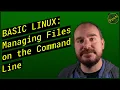 Linux for Beginners - Managing Files with touch nano cat and