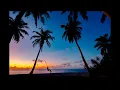 Download Lagu Snake on the Beach   Nico Staf 1 Hour