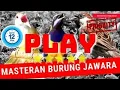 Lagu guru vokal audio 10jam masteran kapas tembak gacor vs burung gereja tarung vs cucak cungkok full HD