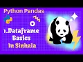 Python Pandas Tutorial 1 Dataframe Basics in Sinhala
