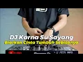 Lagu DJ BIARKAN CINTA TUMBUH SEBISANYA REMIX | DJ KARNA SU SAYANG VIRAL TIKTOK FULL BASS TERBARU 2023
