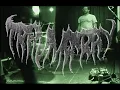 Download Lagu TRAUMA RAY Live at Comet Ping Pong (Washington DC)