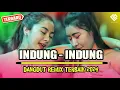 Download Lagu INDUNG INDUNG 🎵 || DANGDUT REMIX TERBAIK 2024 || REMIX TERBARU