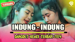 indung indung dangdut remix terbaik 2024 remix terbaru